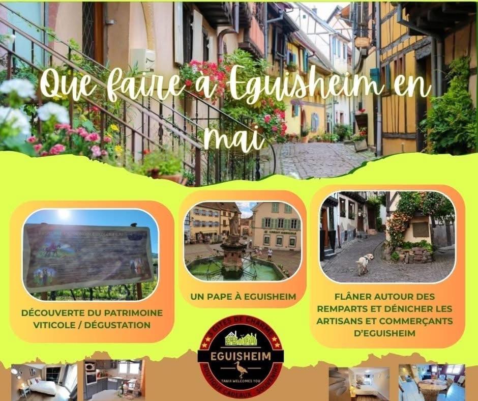 Gite Géranium*** Eguisheim Exterior foto